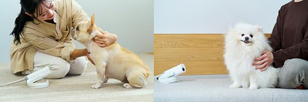 両手が使えて安心ドライ！3WAYスタイルの犬猫用ドライヤー「HUG AIR」先行発売中