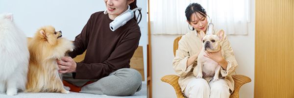 両手が使えて安心ドライ！3WAYスタイルの犬猫用ドライヤー「HUG AIR」先行発売中