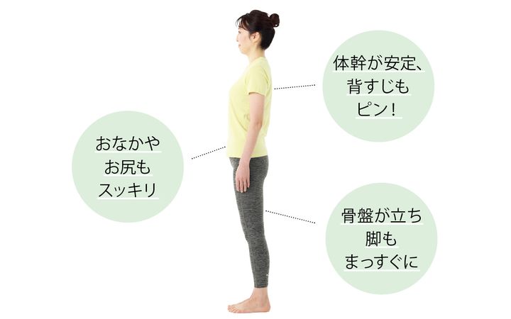 骨盤底筋の大事な役割は大きく3つ！