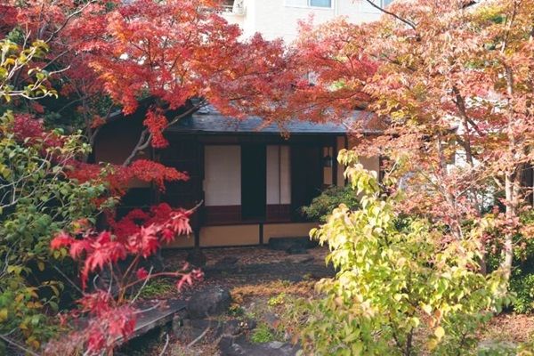 【東京都江東区】岩田家旧蔵品の特別オークション開催！重要美術品指定の品など珠玉の美術品306点集結