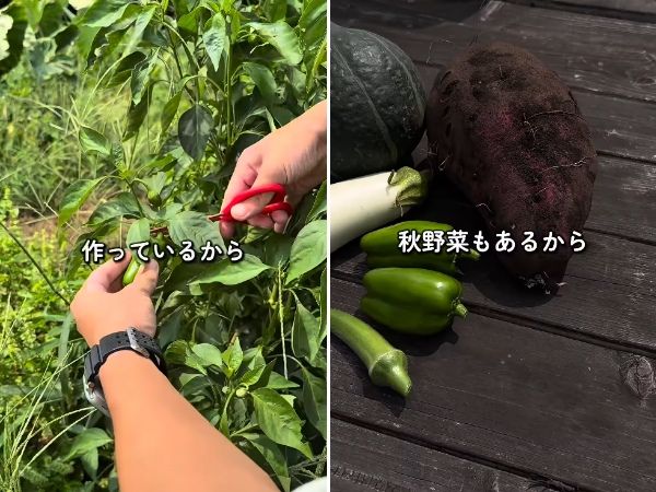 キャンプ炊飯、もう失敗しない！SOTOの新作「ITADAKI」が神すぎた