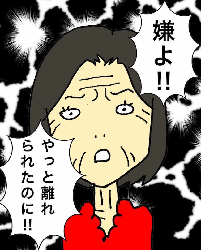 母の認知症介護日記／ワフウフ