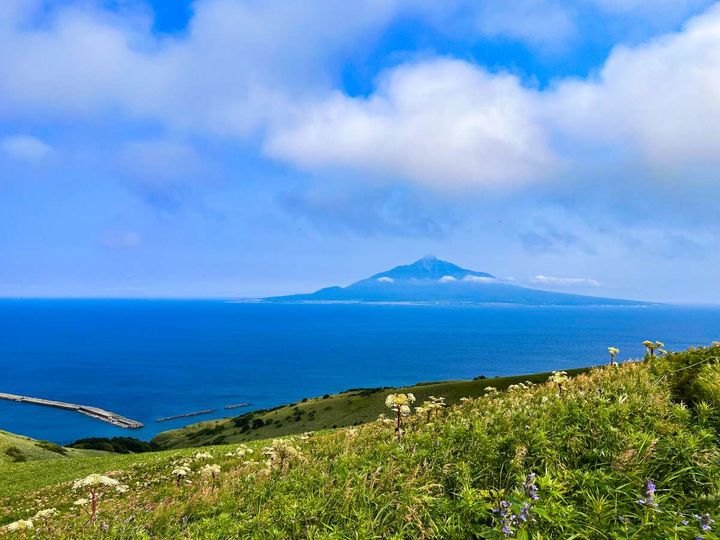 礼文観光ホテル 咲涼