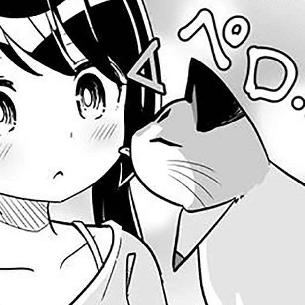 猫が小腹を空かせてるとき