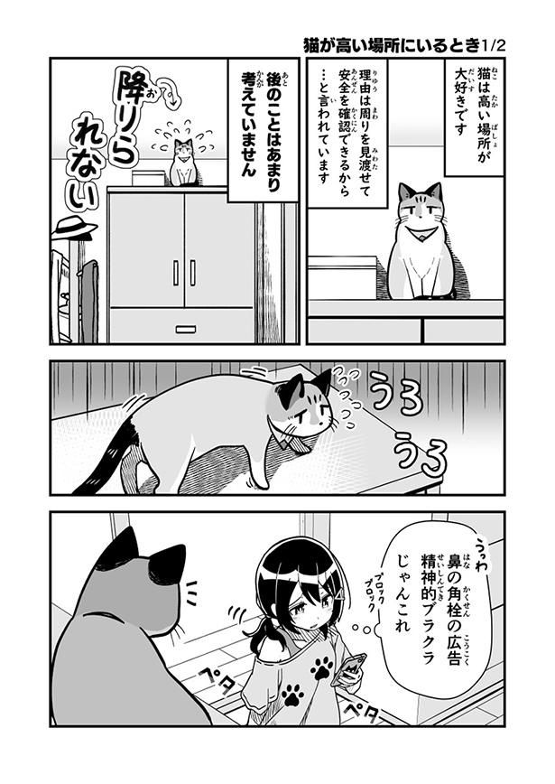 猫が高い場所にいるとき 1