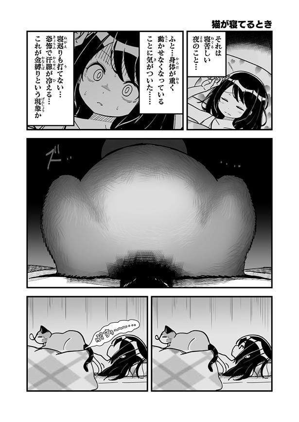 猫が寝てるとき