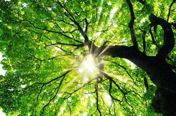 自己肯定感の第一人者・中島輝氏のポッドキャスト『All about Self-esteem』が配信中