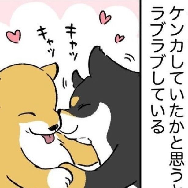 兄妹ケンカしていたかと思うと、ラブラブしているのはなぜ？ ユウコトリトリ(@yuko_toritori)