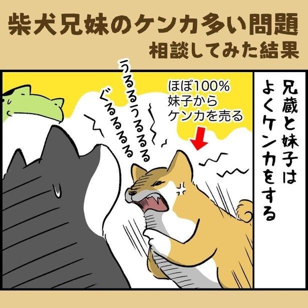 動物病院の先生に相談してみた結果はいかに…？ ユウコトリトリ(@yuko_toritori)