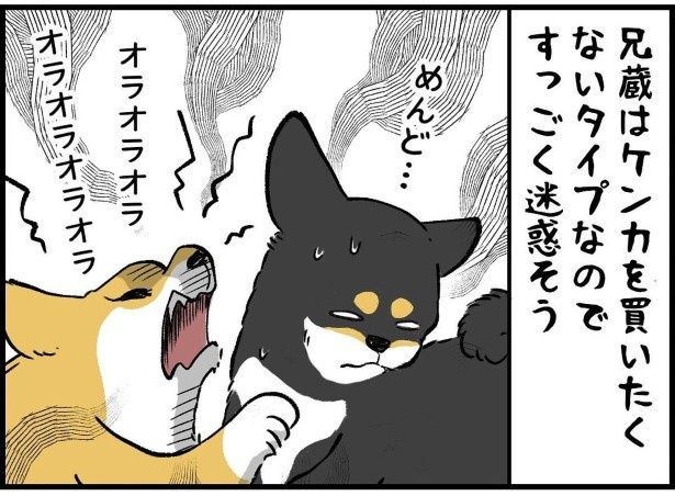 漫画バージョンがこちら！ ユウコトリトリ(@yuko_toritori)