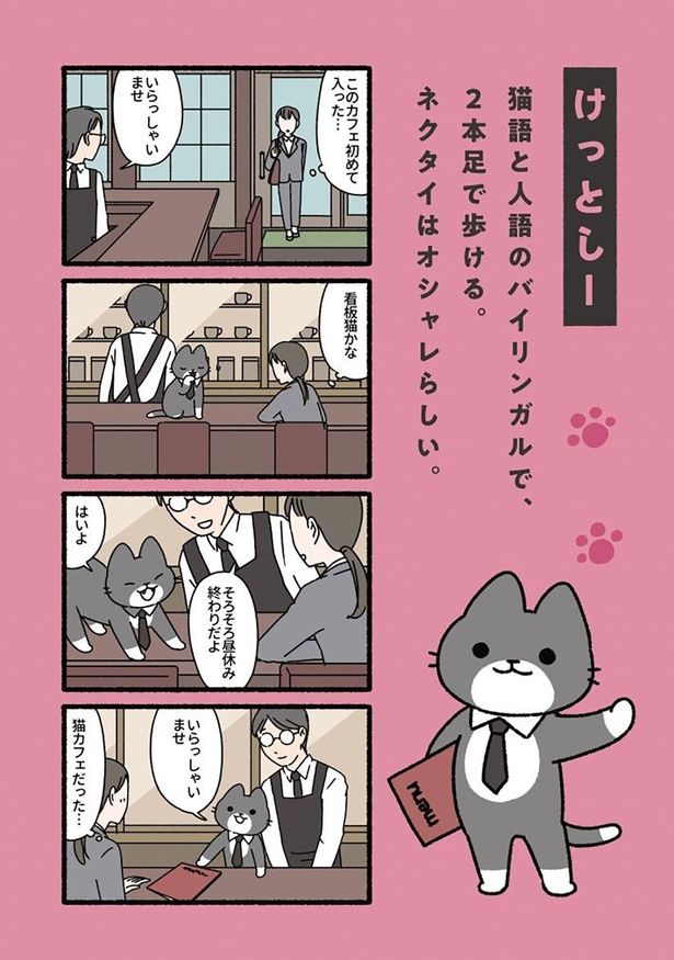 けっとしー （C）ぱんだにあ／竹書房
