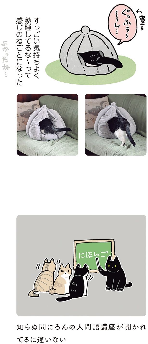 知らぬ間にろんの人間語講座が開かれてるに違いない （C）AKR／KADOKAWA