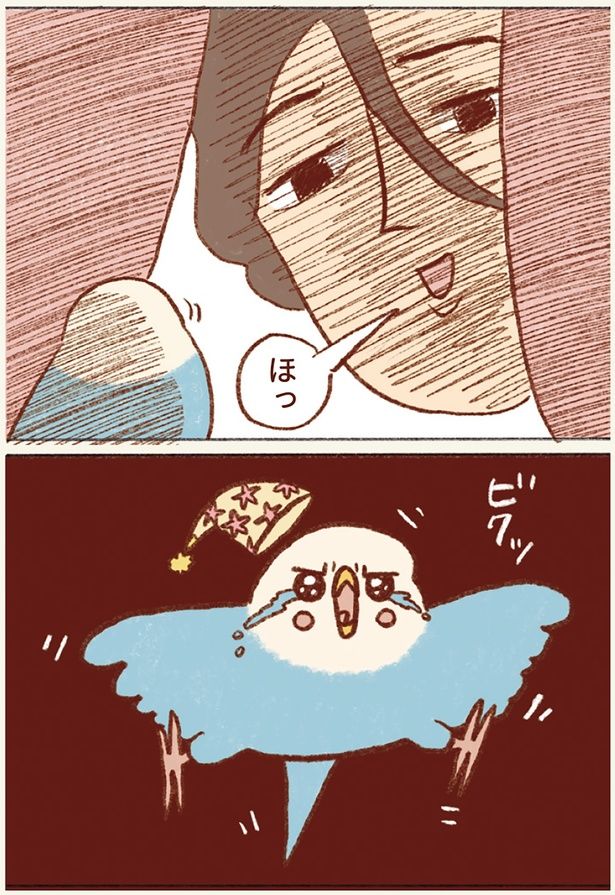 ほっ （C）谷小夏／KADOKAWA