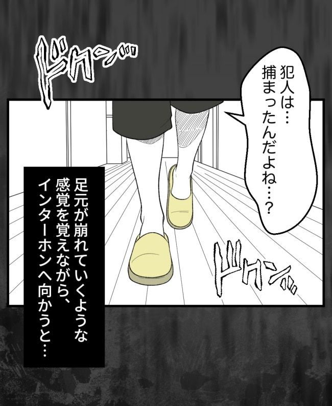 恐怖の訪問者／ほや助