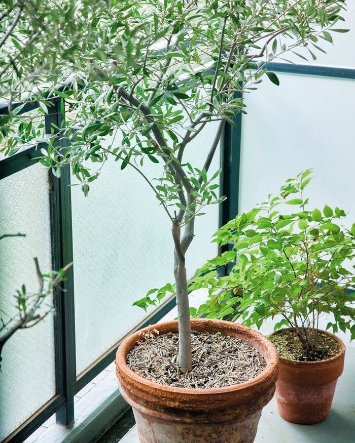 〈70歳の一人暮らし〉自分にいらないものは、いらない。結局なるようになるんです