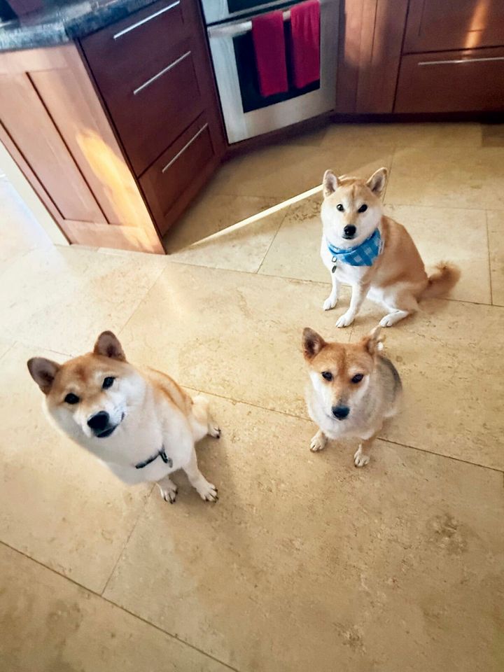 ”Me too.“の別の言い方を 覚えておこう【ハワイのマキさんが教えるGirl’s English】