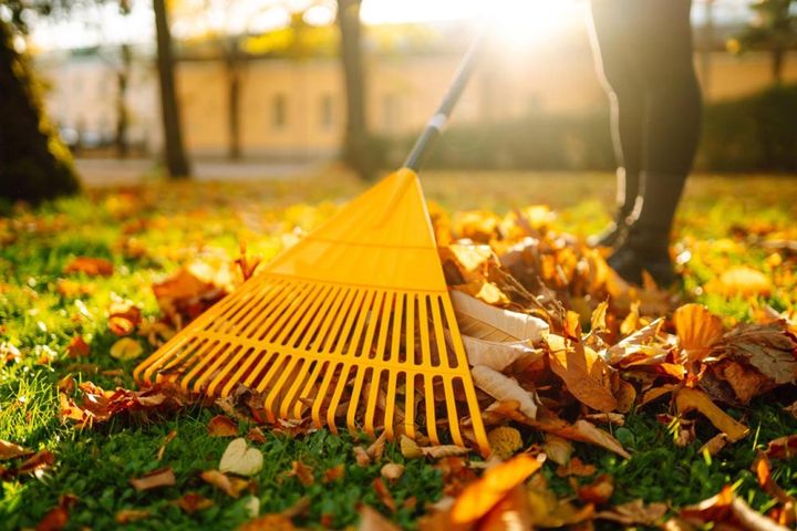 落ち葉を集めて堆肥にする