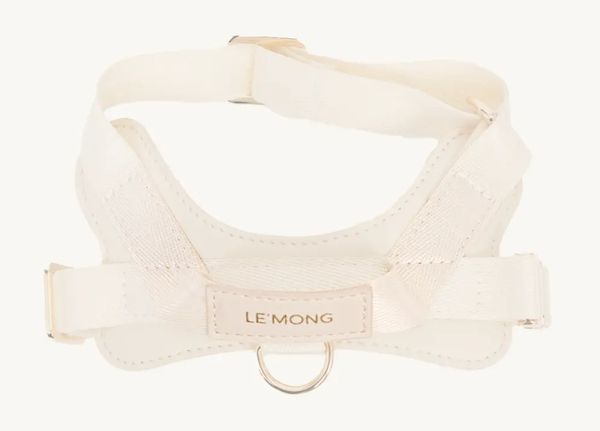 愛犬にも人にもやさしい着け心地。LE’MONGの新作ハーネス＆リードがMakuakeで先行公開