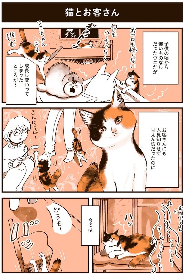 怖いものなしだったウニだが （C）谷口菜津子／KADOKAWA