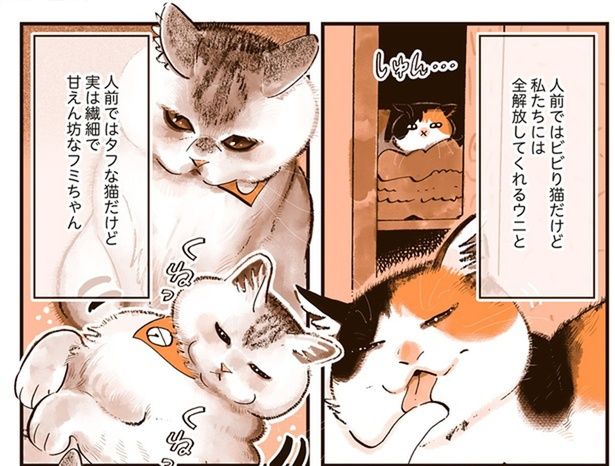 人前ではビビり猫だけど （C）谷口菜津子／KADOKAWA