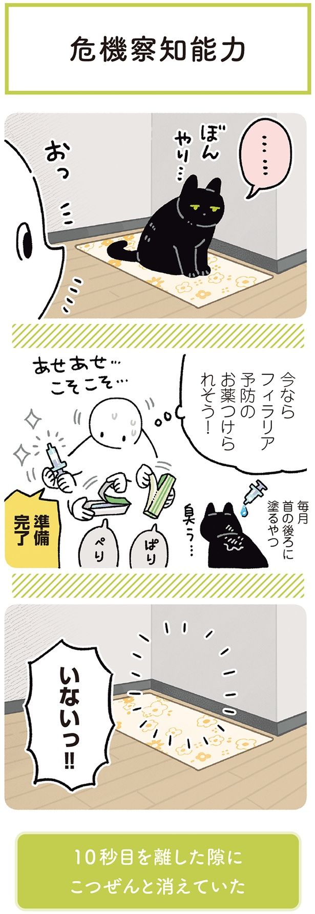 今ならフィラリア予防のお薬つけられそう！ （C）AKR／KADOKAWA