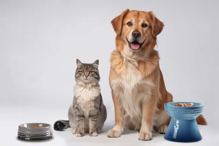 ル・クルーゼ ペット製品