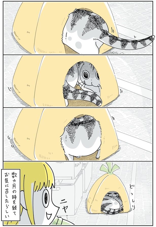 数か月の時を経て （C）キュルZ／KADOKAWA