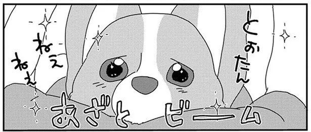 どうしてもほしいの！飼い主におねだりするワンコの奥の手 (C)らくだ／KADOKAWA