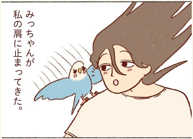 みっちゃんが私の肩に止まってきた。 （C）谷小夏／KADOKAWA
