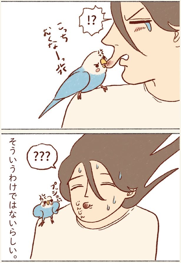 そういうわけではないらしい。 （C）谷小夏／KADOKAWA