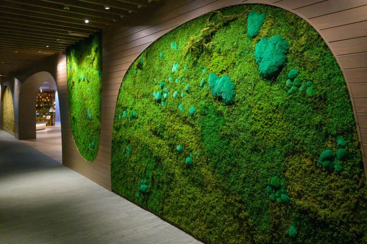苔アートウォール