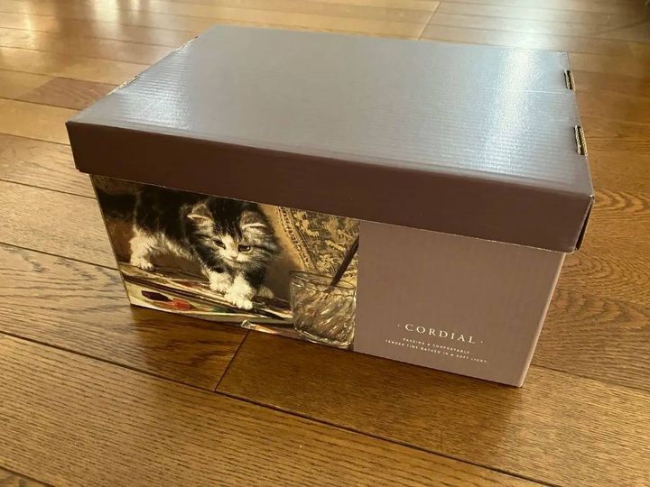 Seria(セリア)：ペーパー収納BOX 1/4 フタ付 アニマル柄