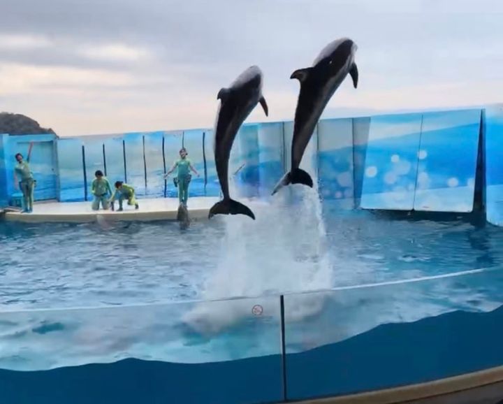 鈴木恵さん1月ブログ⑨