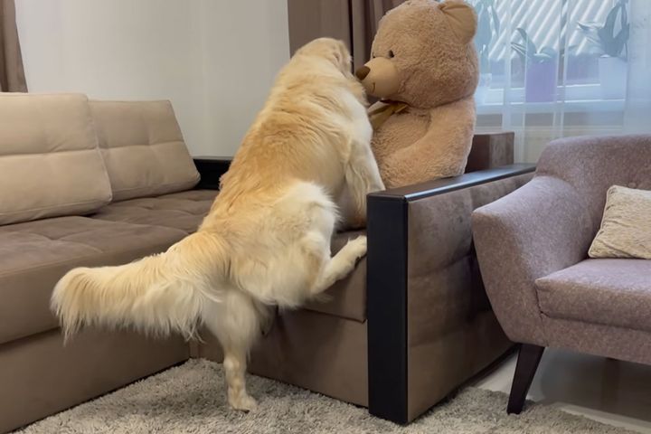 大きなしっぽをフリフリ…