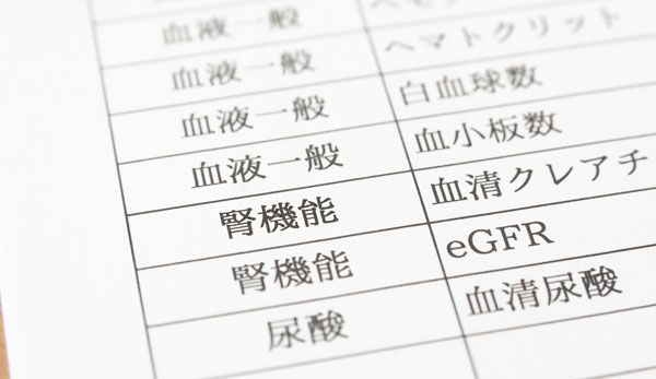 「腎臓」は健康寿命のカギを握る大切な臓器