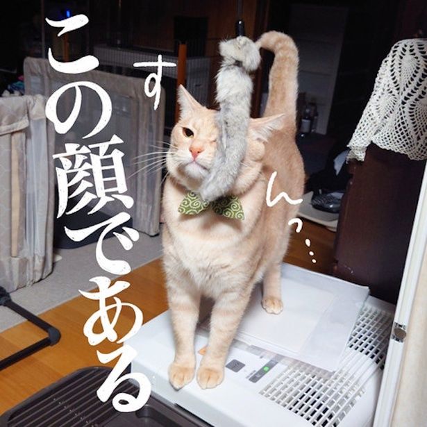 温度差が生んだ表情(4) 画像提供：麦ママ(@mugi0.715)