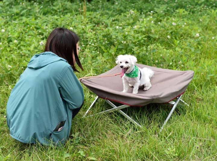 「キャンプ飯が慌ただしい問題」、SOTOの新製品が一発で解決してきた！