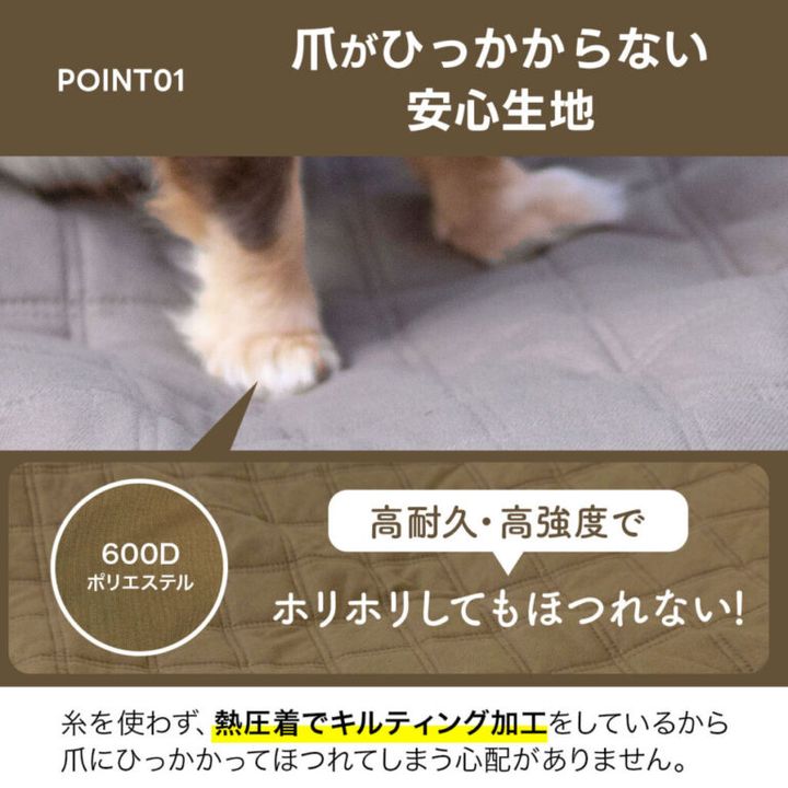 上級キャンパーが毎回ソロキャンプに持っていく！優秀すぎる1軍調理ギア3選