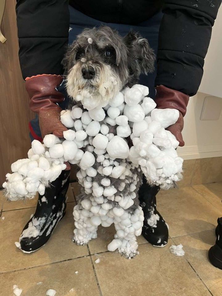 ＠kuu_chan_0109さんの投稿より、再掲