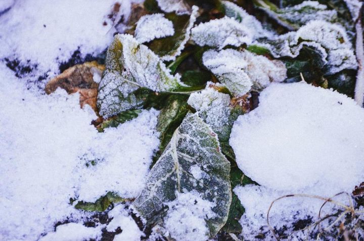 少しばかりの積雪の下は乾燥することも