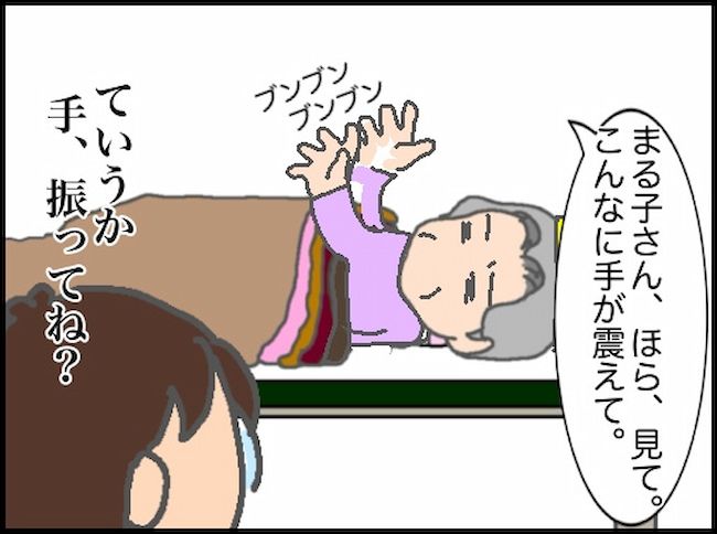 頑張り過ぎない介護／まる子