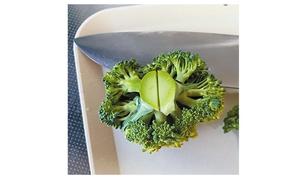 根元のほうに包丁で切り込みを入れる （C）安井ファーム／KADOKAWA