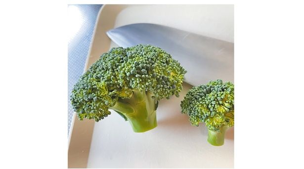 均等に分けるのがポイント （C）安井ファーム／KADOKAWA