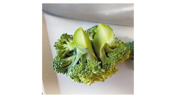 つぼみ側の大きさを意識しながら、切り込みをとっかかりに手で裂く （C）安井ファーム／KADOKAWA