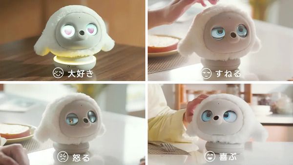 育てるほどにユーザーを理解する、進化系AIロボット「lopeto」の正式販売がSTART！
