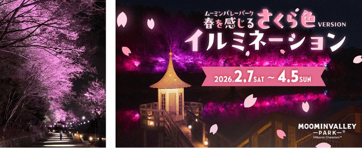 さくら色VERSIONイルミネーション