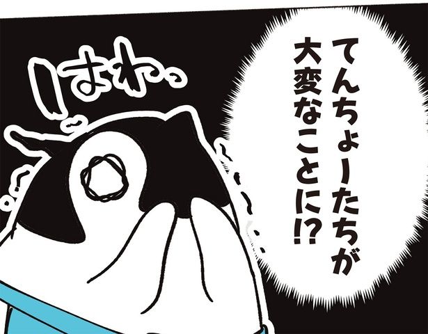 てんちょーたちが大変なことに!? （C）世禕／KADOKAWA