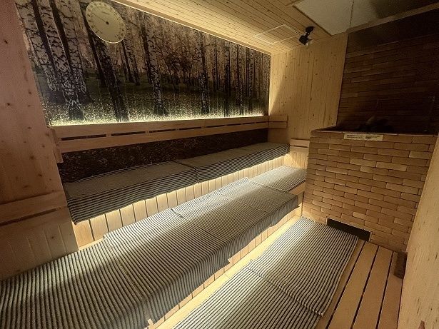 シンプルなつくりのサウナ室