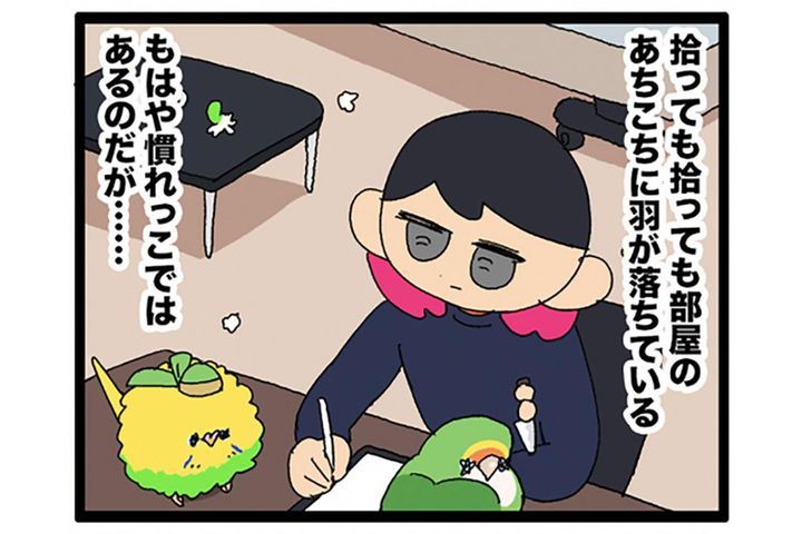 ホラー！？換羽期の鳥飼いさんの家を高速で横切る黒いものの正体は？【鳥マンガ #189】