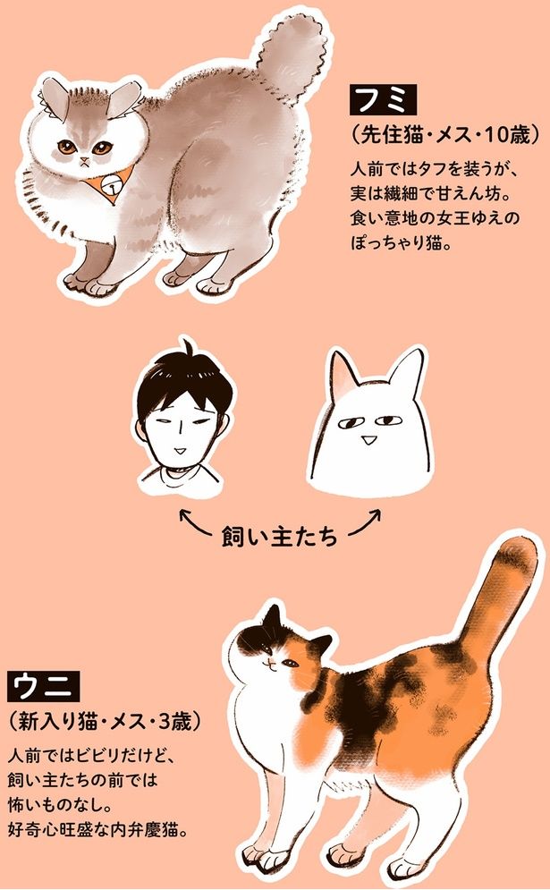フミとウニと飼い主たち （C）谷口菜津子／KADOKAWA